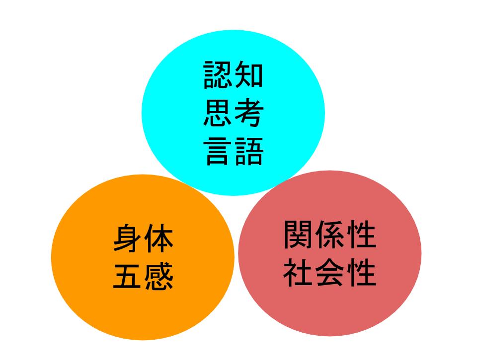 発達の３つの領域「認知」「身体」「関係性」｜発達障害